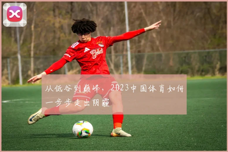 从低谷到巅峰，2023中国体育如何一步步走出阴霾