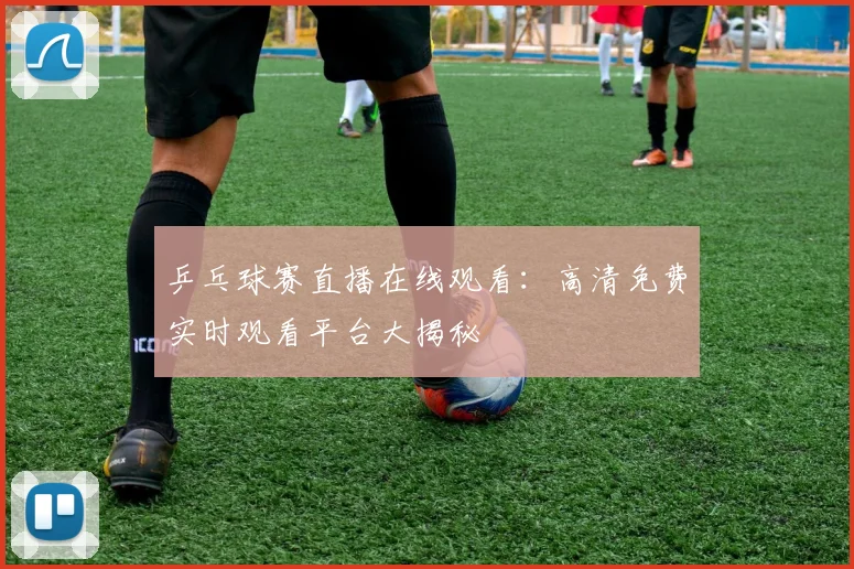 乒乓球赛直播在线观看：高清免费实时观看平台大揭秘