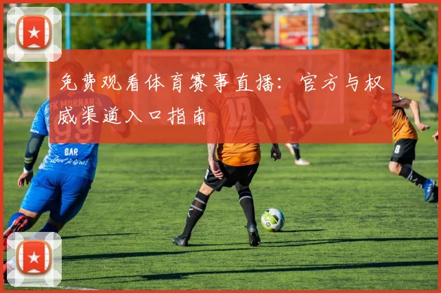 免费观看体育赛事直播：官方与权威渠道入口指南