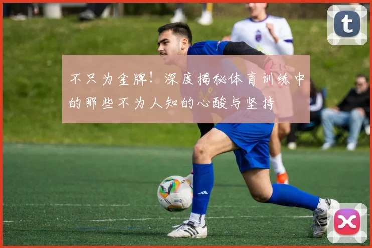不只为金牌！深度揭秘体育训练中的那些不为人知的心酸与坚持