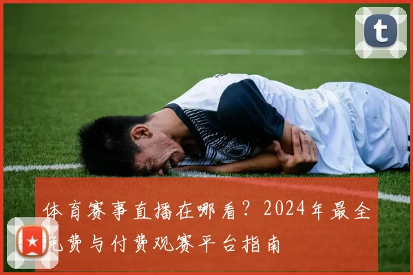 体育赛事直播在哪看？2024年最全免费与付费观赛平台指南